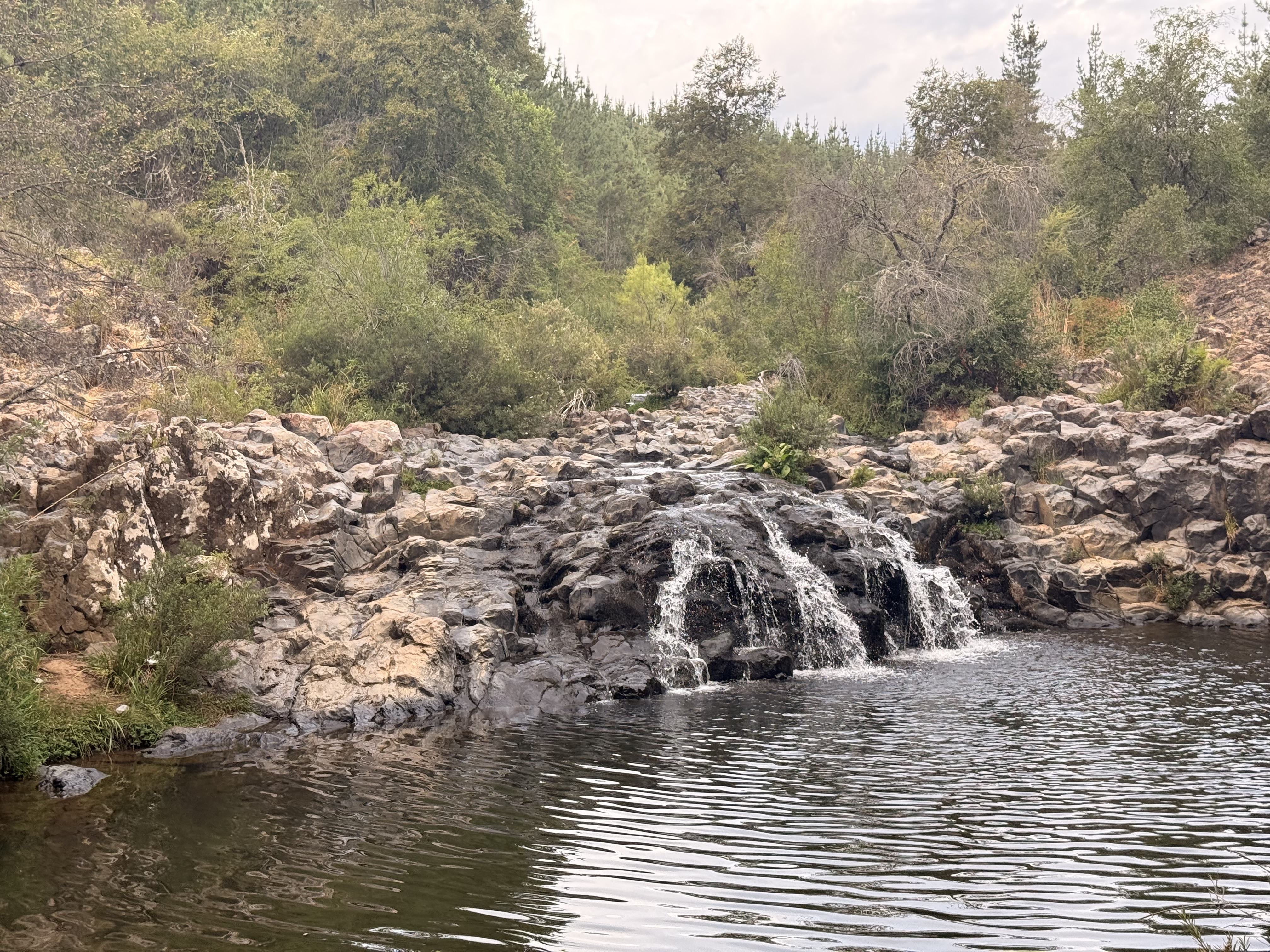 Willkommene Abwechslung